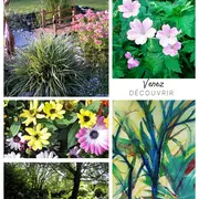 Le Jardin à travers les Yeux