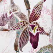 Visites-ateliers émaillage