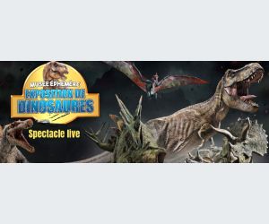 Le Musée Ephémère : Les dinosaures arrivent à Lyon