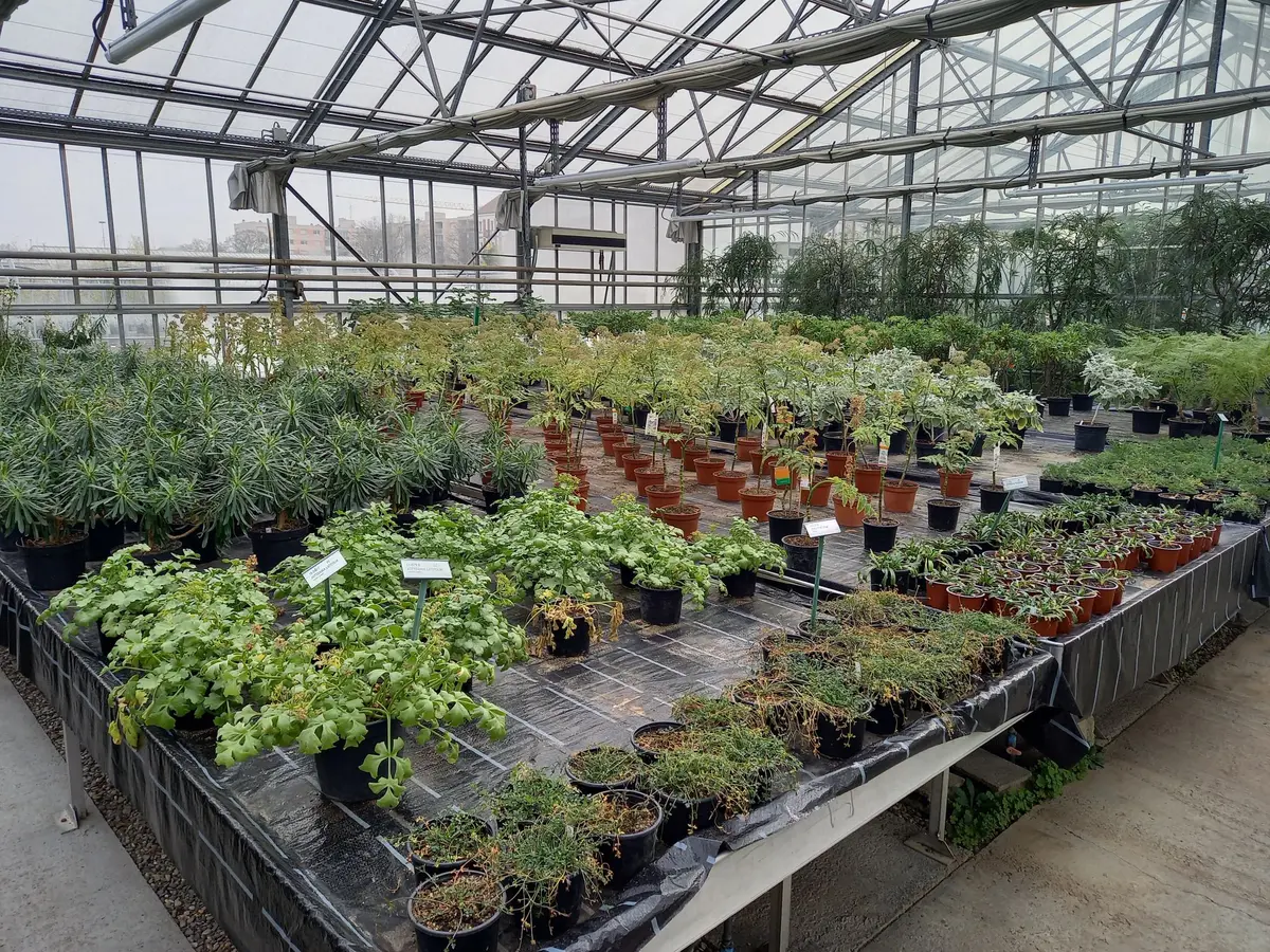 Visite guidée des serres de production et du conservatoire botanique