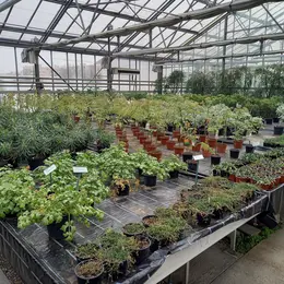 Visite guidée des serres de production et du conservatoire botanique