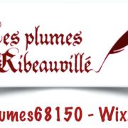 Ateliers de calligraphie médiévale - Les plumes de Ribeauvillé