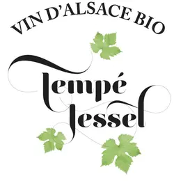 Vin d'Alsace Bio Tempé-Jessel