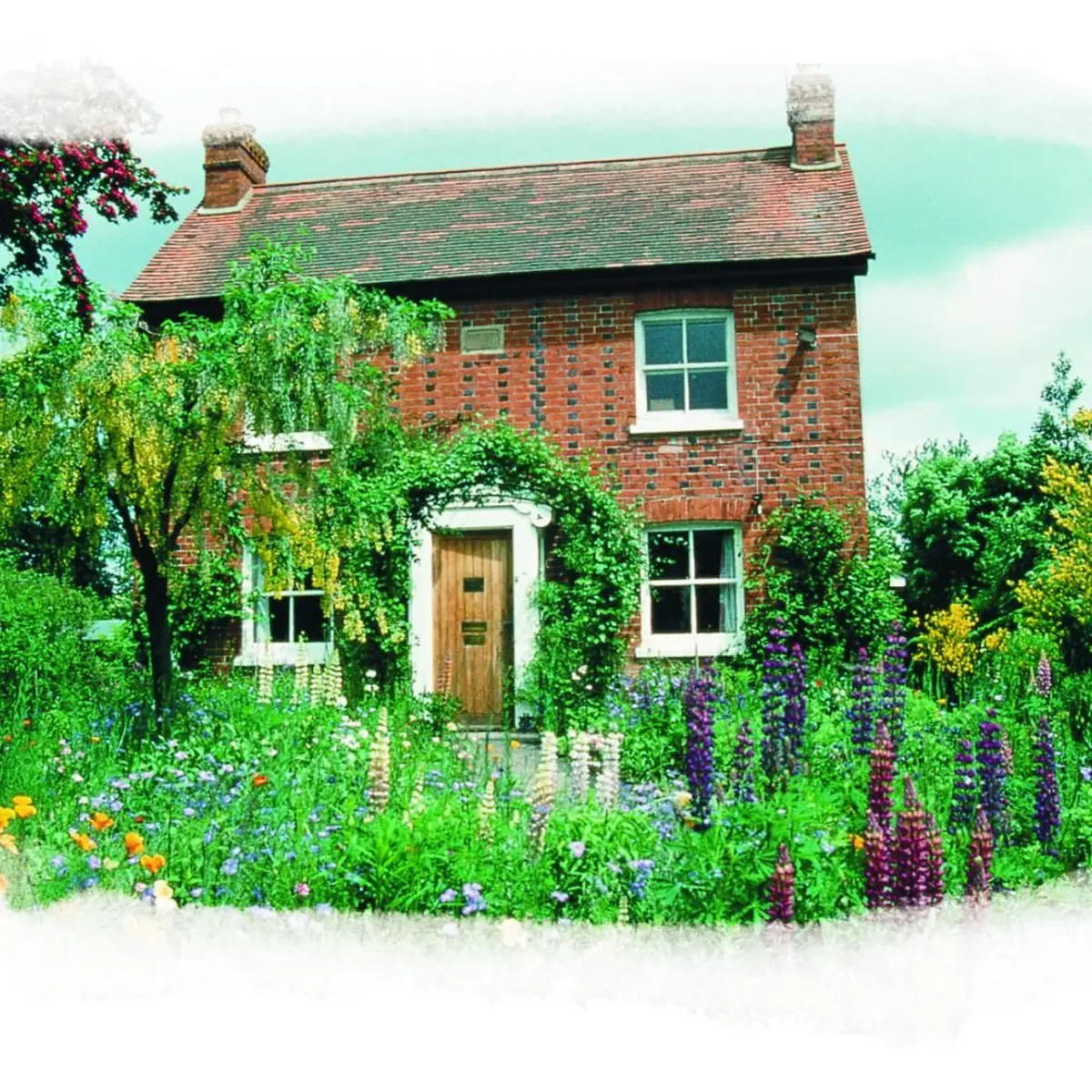 « Le monde des Fleurs de Bach »