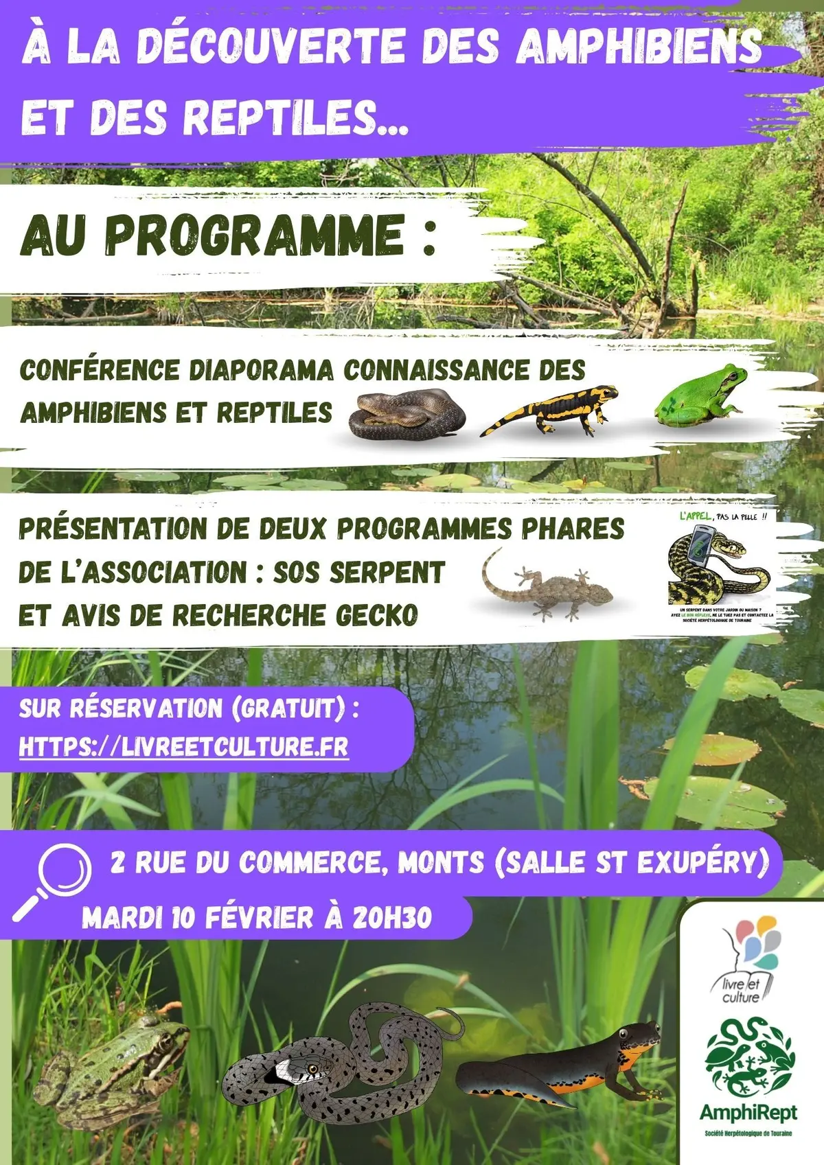 Conférence :  A la découverte des amphibiens et reptiles