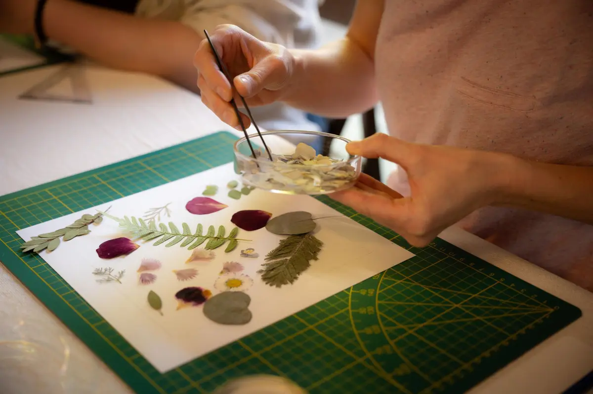 La valse des pétales, composez votre herbier fleuri