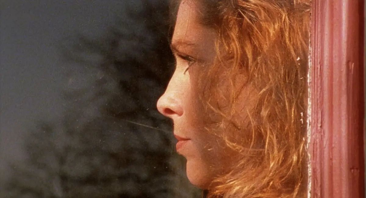 Projection du film « Thru’ Dutch Eyes » de Pieter van der Houwen