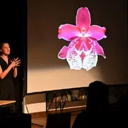 De la sexualité des orchidées - Sofia Teillet