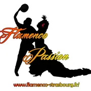 Flamenco Passion