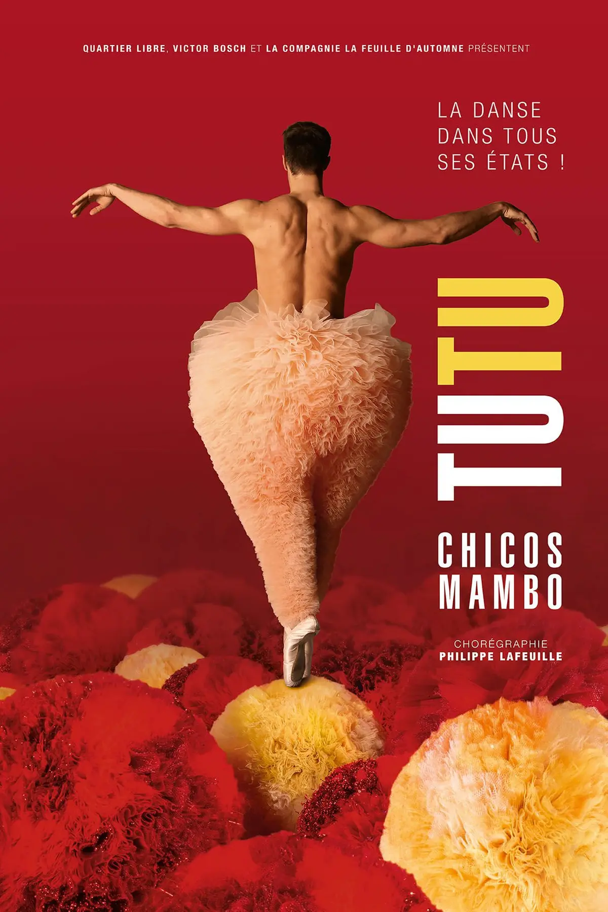 Tutu Chicos Mambo