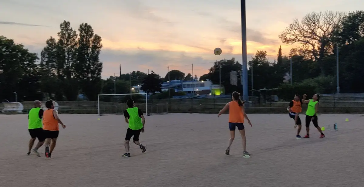 2BeeFrizz - Ultimate Frisbee loisirs 