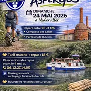 Marche aux asperges