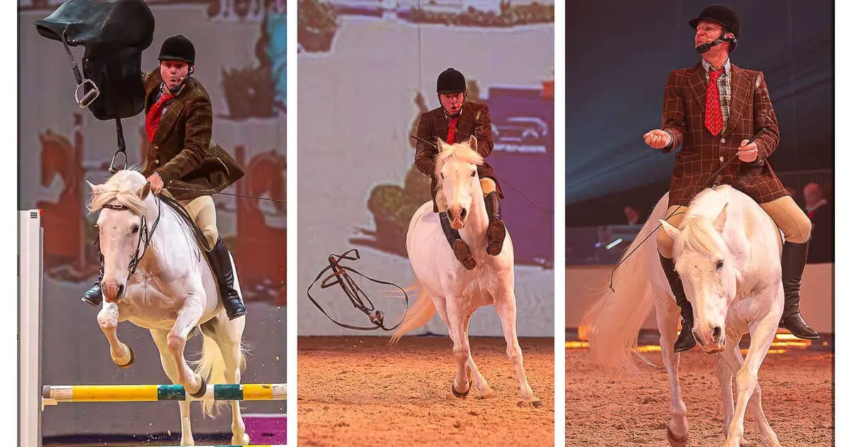 « La Méthode Bolino » Spectacle équestre technique… et résolument drôle !