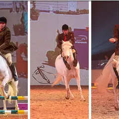 « La Méthode Bolino » Spectacle équestre technique… et résolument drôle !
