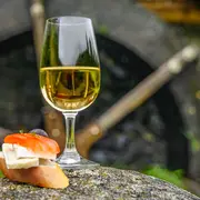 Randonnée gourmande autour du vin et des moulins en Forêt-Noire