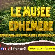 Chateauneuf sur Isère:  les dinosaures arrivent ! (by le musée éphémère®)