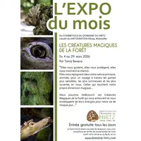« Les créatures magiques de la forêt » par Tania Benera au Domaine du HIRTZ &copy; Tania Benera