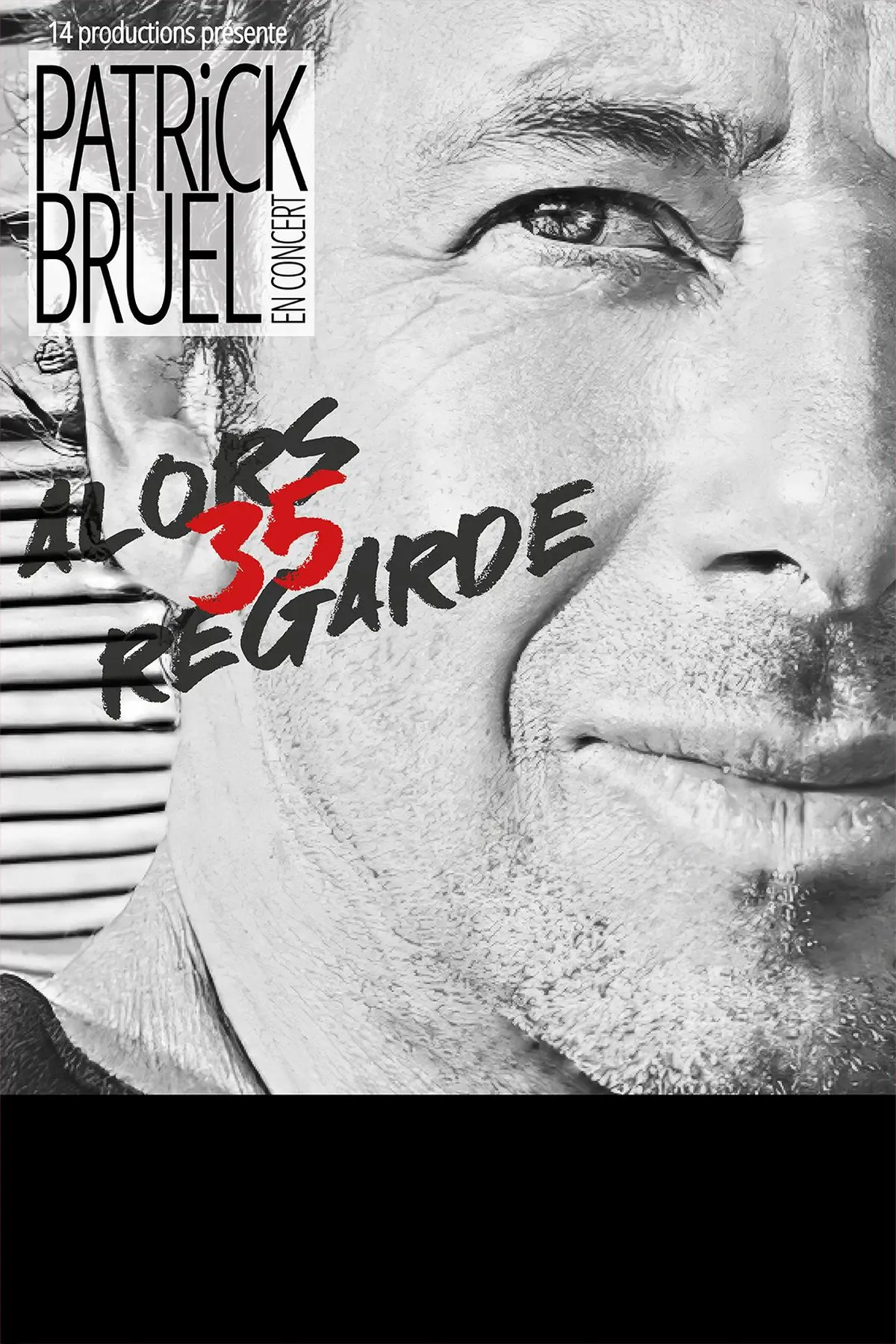 Patrick Bruel Alors regarde 35