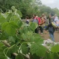 Troc plantes de printemps &copy; Le Moulin Nature