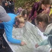 Séjour Sur les pas de l'ours