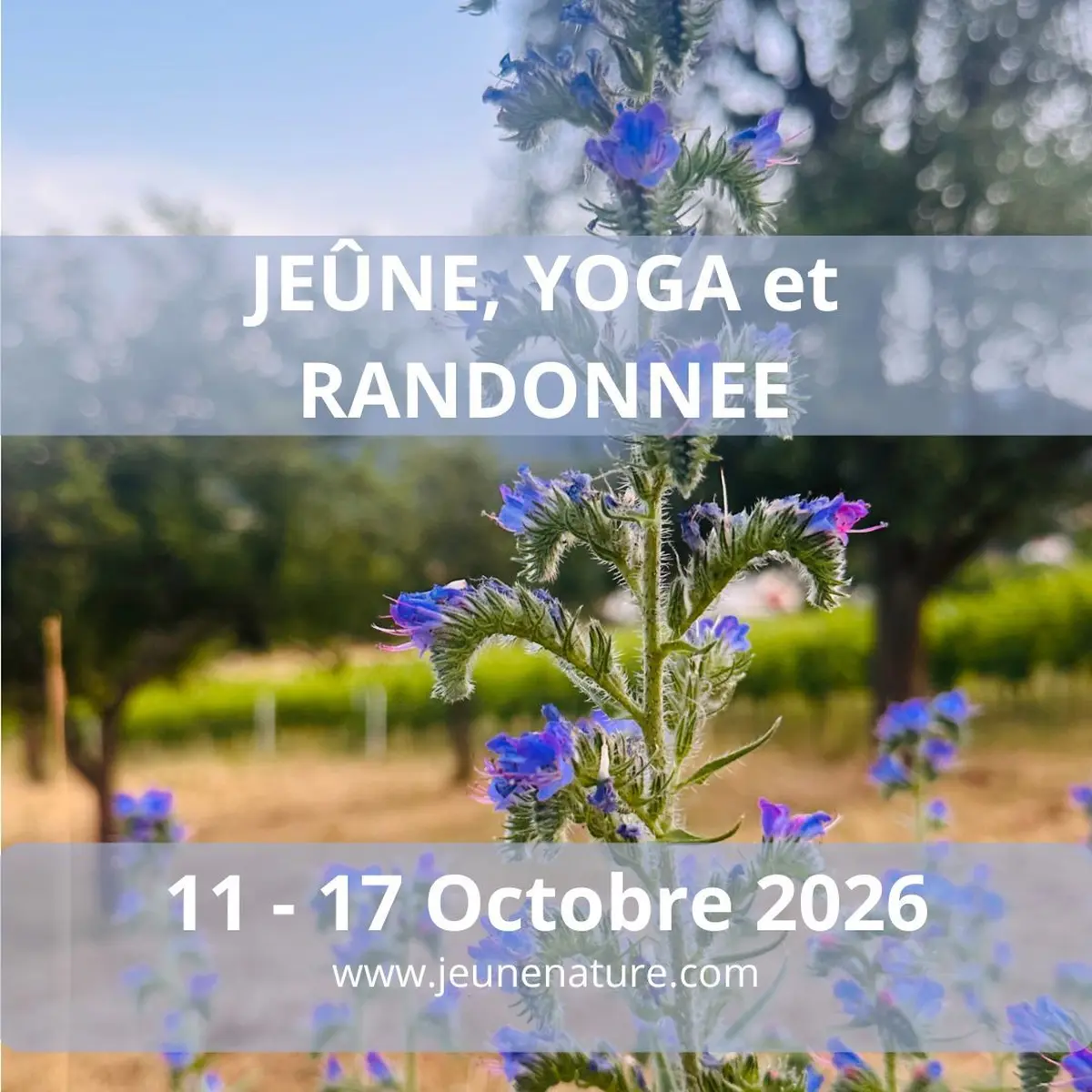 Jeûne, Yoga et Randonnée en Octobre 2026