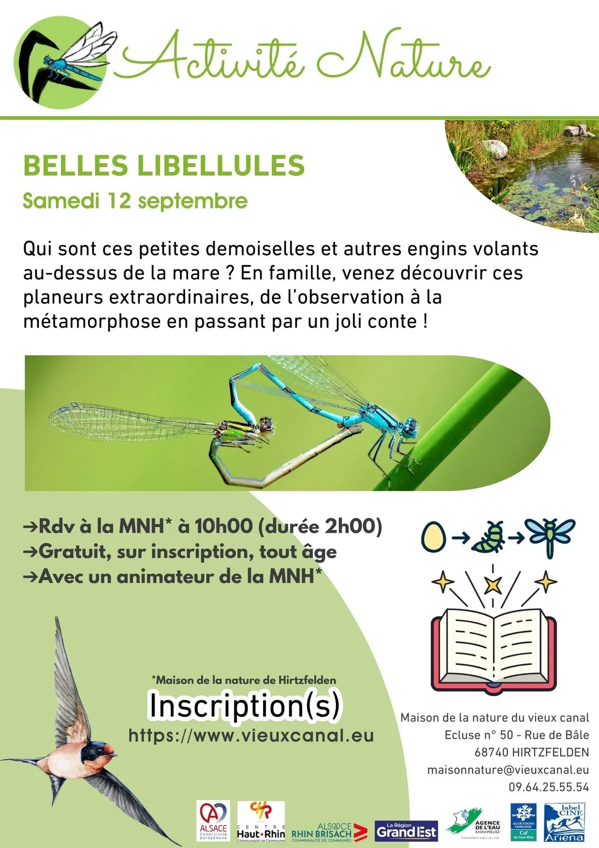 Belles libellules