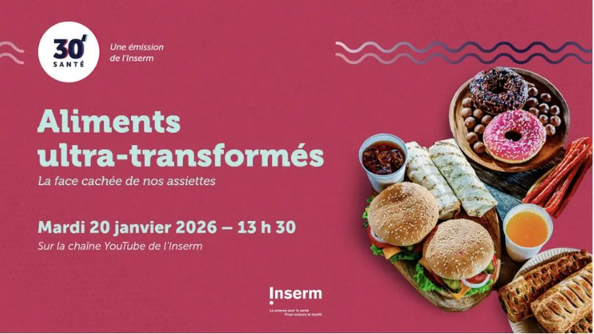 Aliments ultra-transformes : la face cachee de nos assiettes