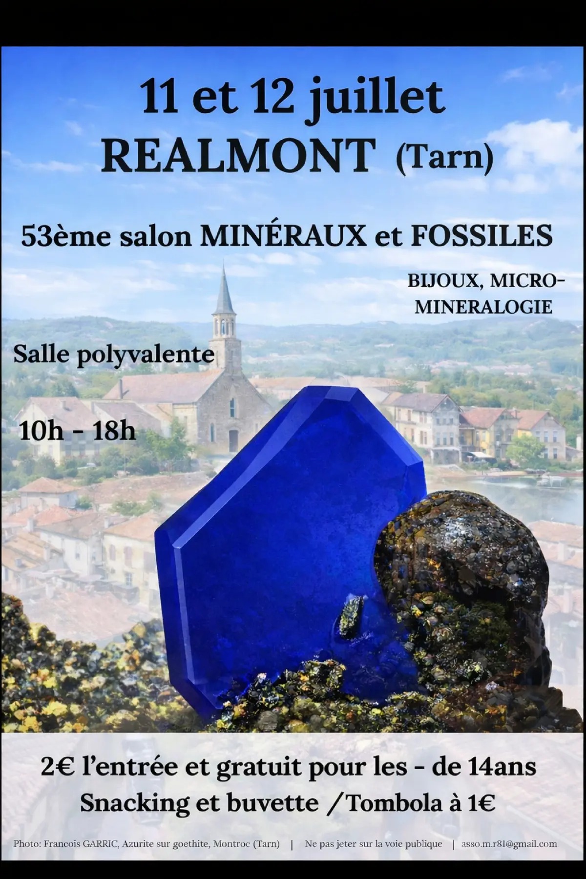 53 ème Salon Minéraux et Fossiles  Réalmont (Tarn)