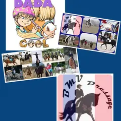 Bmv Dressage, école d'équitation Dada Cool