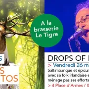 Drops of Brandy / Festival l\'Humour des Notes