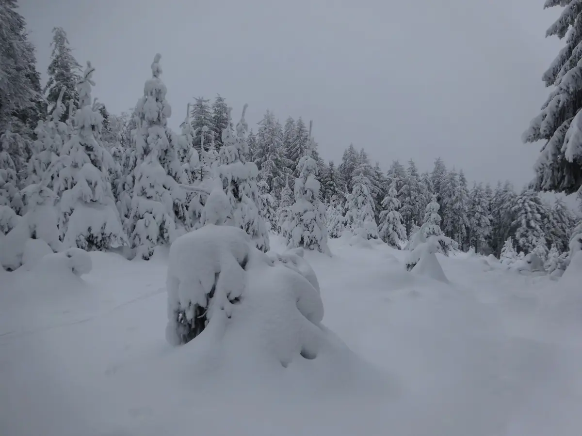 Randonnée guidée en raquettes à neige