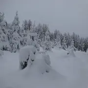Randonnée guidée en raquettes à neige
