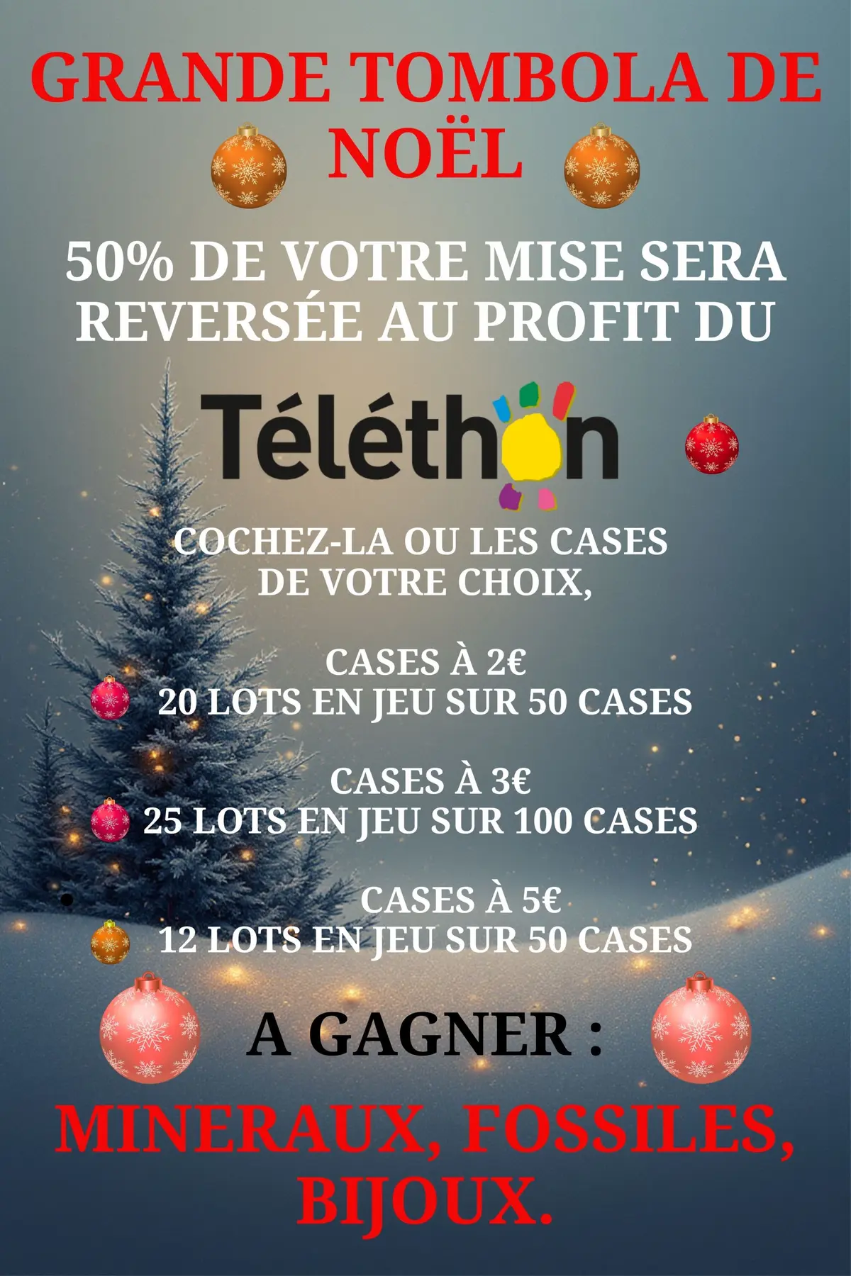 1er Marché de Noël des minéarux