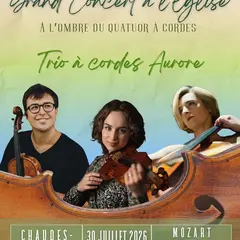 À l’ombre du quatuor à cordes LES GRANDS TRIOS À CORDES