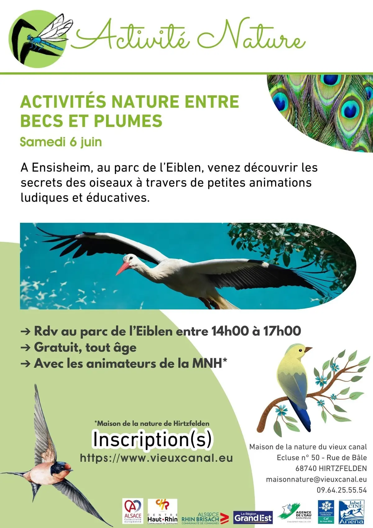 Activités nature entre becs et plumes