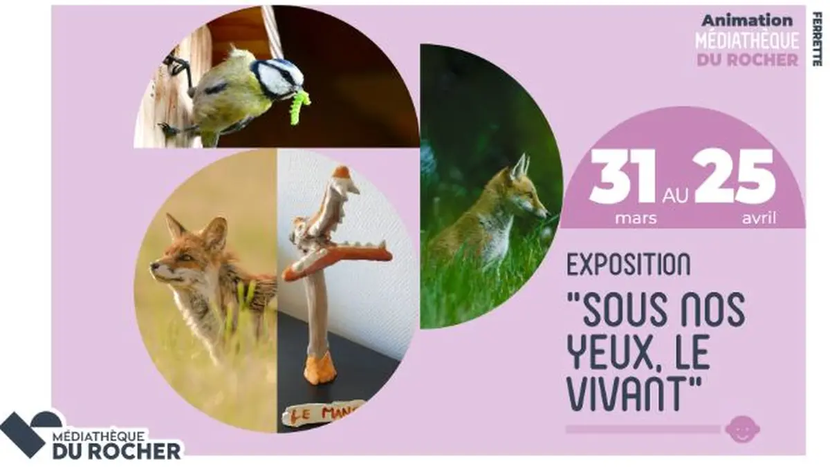 Exposition sous nos yeux, le vivant