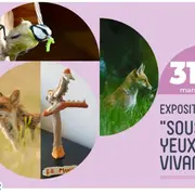 Exposition sous nos yeux, le vivant