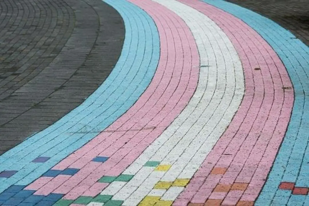 Belgian Theory #1 : Hors des normes ? Les personnes trans dans la société