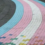 Belgian Theory #1 : Hors des normes ? Les personnes trans dans la société