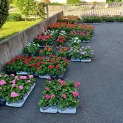 Marché aux fleurs Elbach 01/05/2026