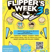 Flipper's week 3.8