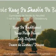 Association Kung Fu Shaolin Vu Ba Strasbourg