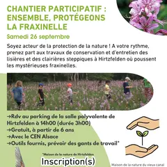 Ensemble, protégeons la fraxinelle