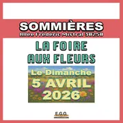 Foire aux fleurs, plantes et décorations de jardin