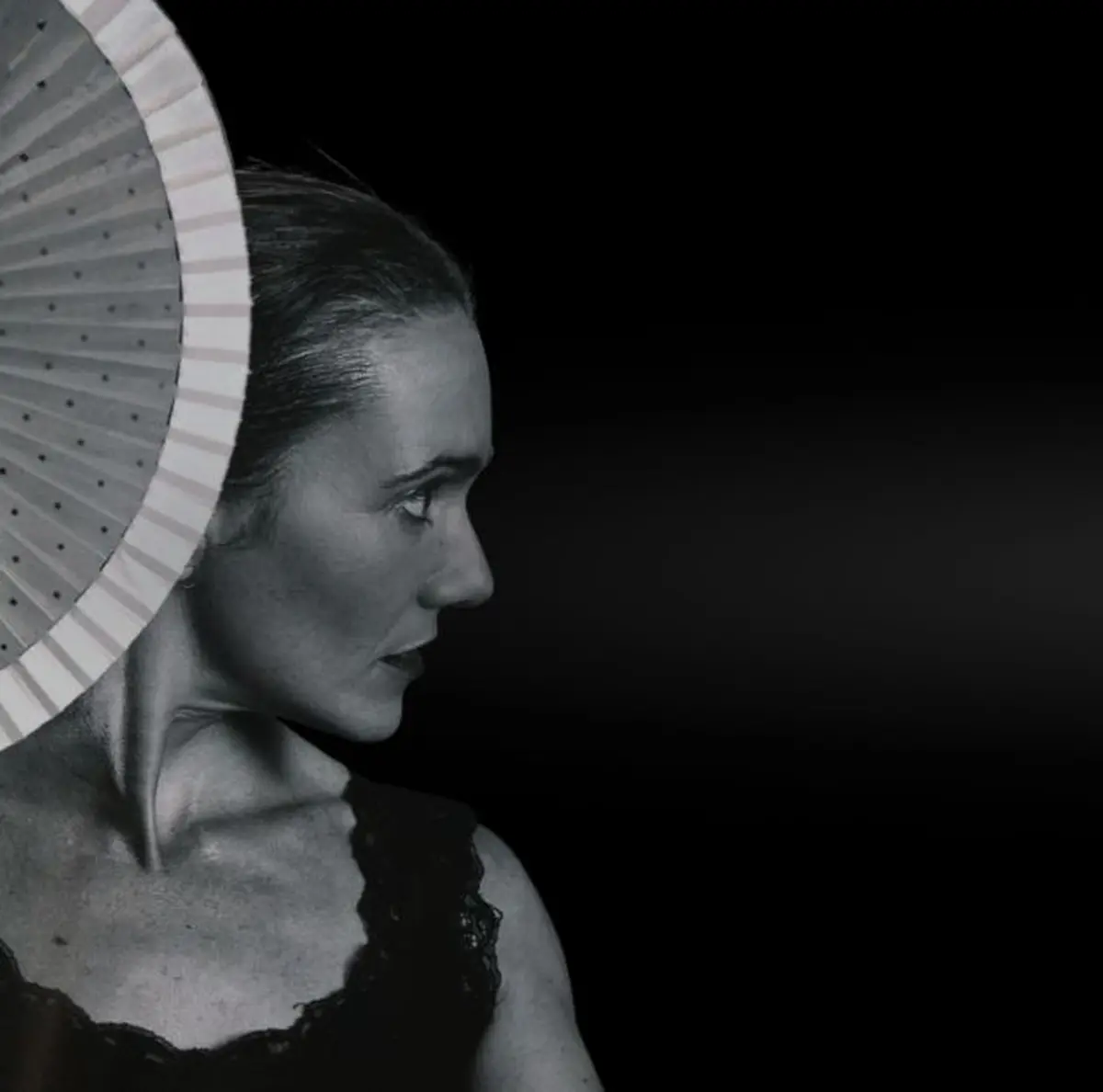 Les scènes du mezo • Spectacle flamenco assis