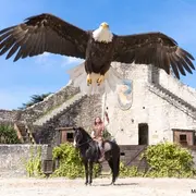 Les Aigles des Remparts