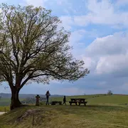 Randonnée pédestre