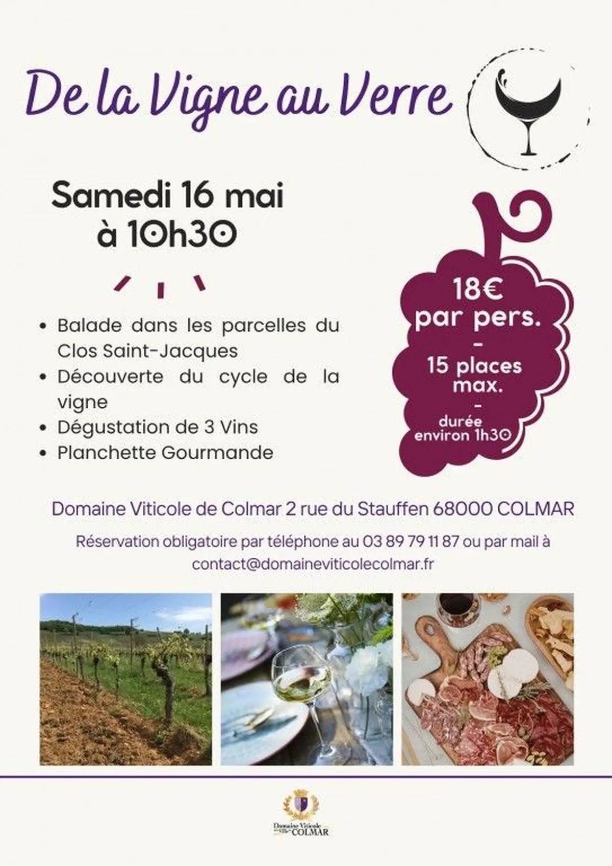 De la Vigne au Verre