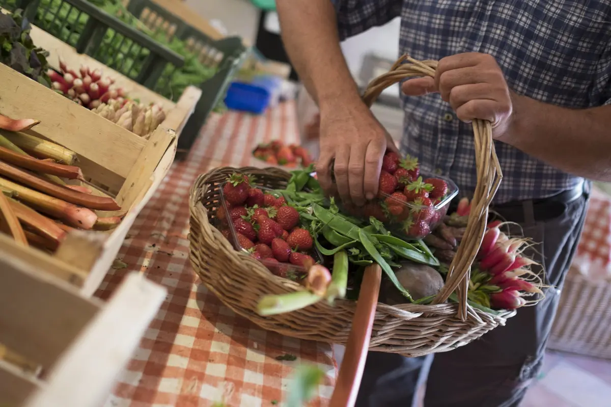 Ferme Obrecht : le jardin extraordinaire