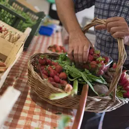 Ferme Obrecht : le jardin extraordinaire